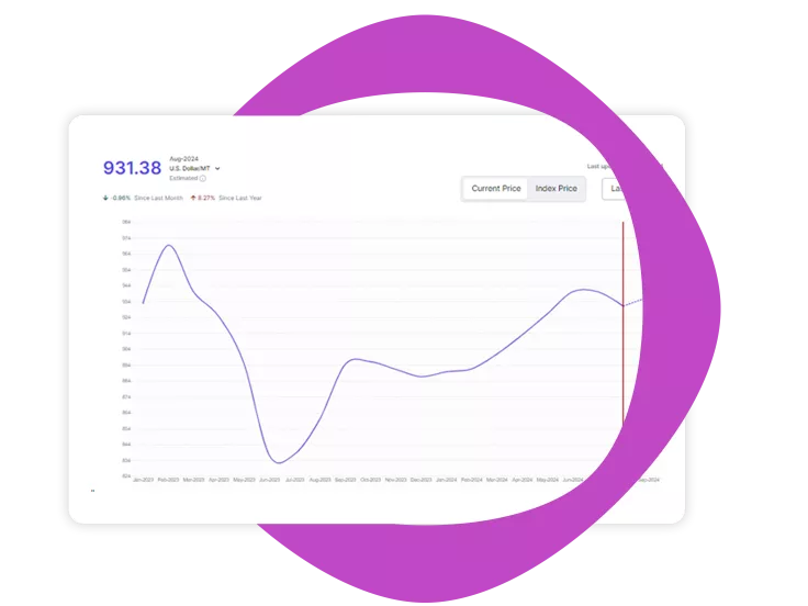 Category Insights