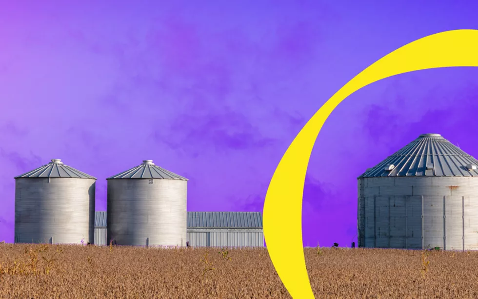 Reality for Agro Food Supply Chains