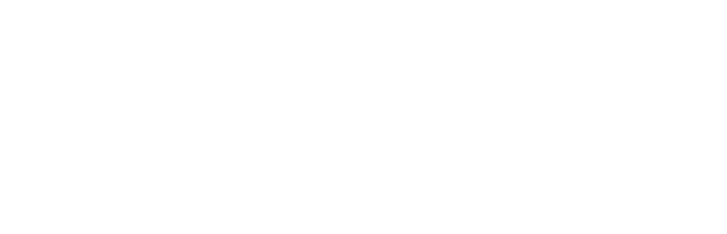 Beroe_footer_logo